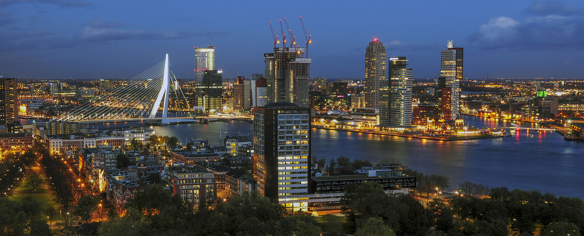 Erasmusbrug_seen_from_Euromast (1)