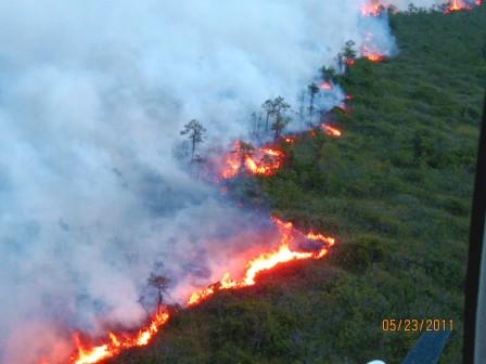 Pains-Bay-fire-019